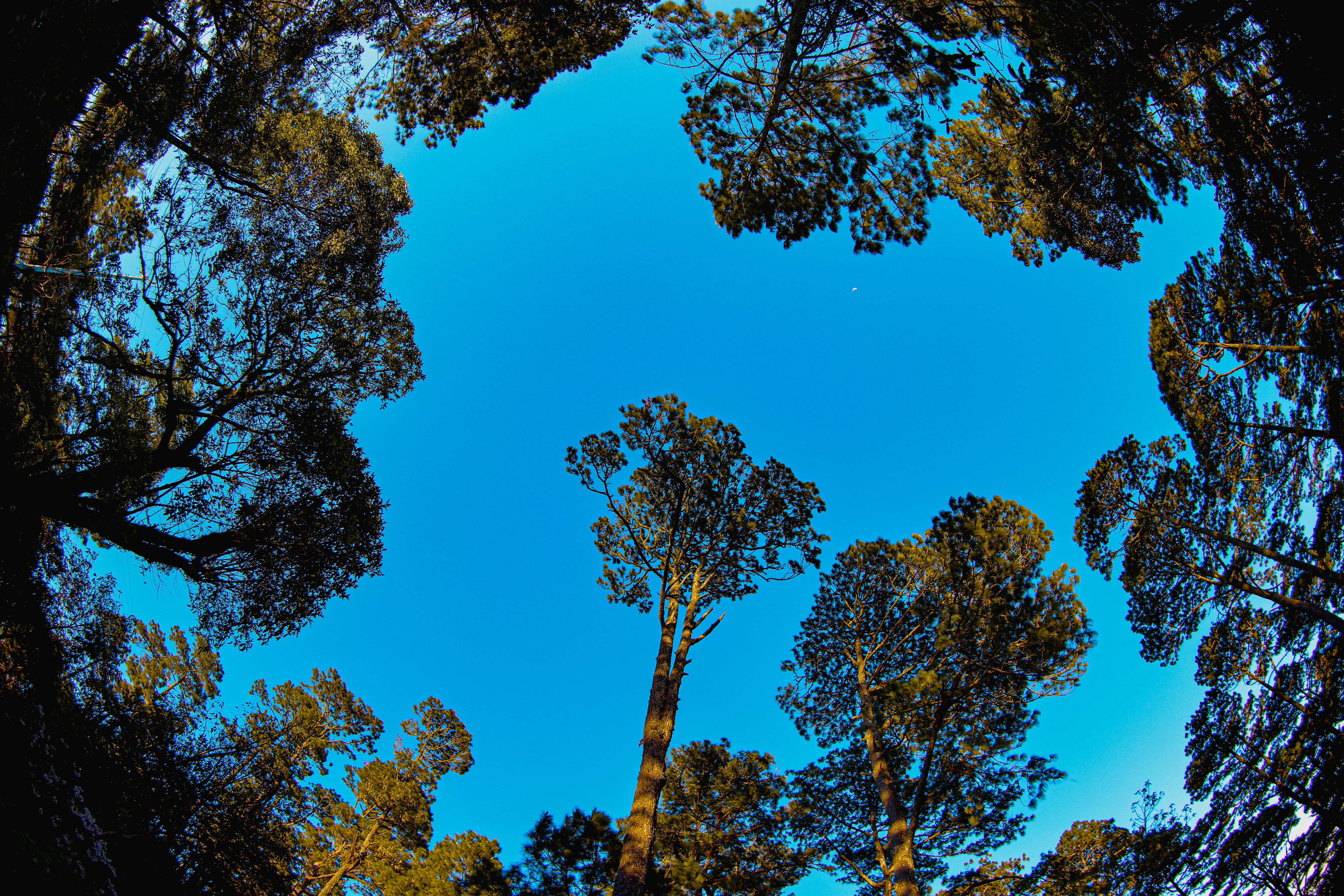 Photo from Parque Nacional El Boquerón